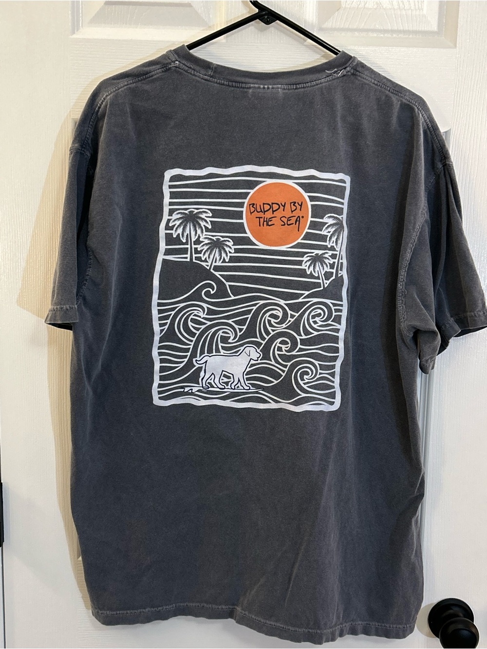 Buddy By The Sea Rehoboth Beach Comfort Colors Graphic Tee XL Gray - Picture 2 of 5